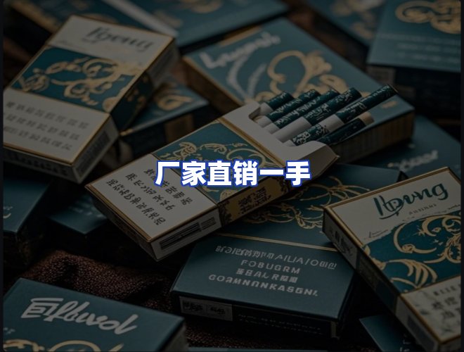 专业团队